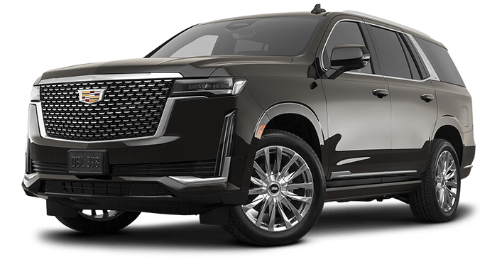 mlp-img-top-2023-escalade-temp